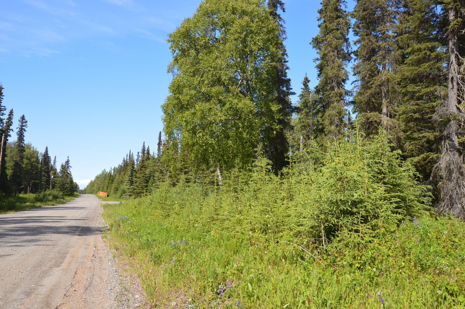 L18 Spruce Haven Street: L18 Spruce Haven Street, Kenai, AK 99611